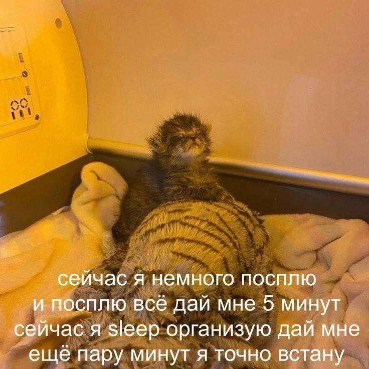 Утренняя подборочка