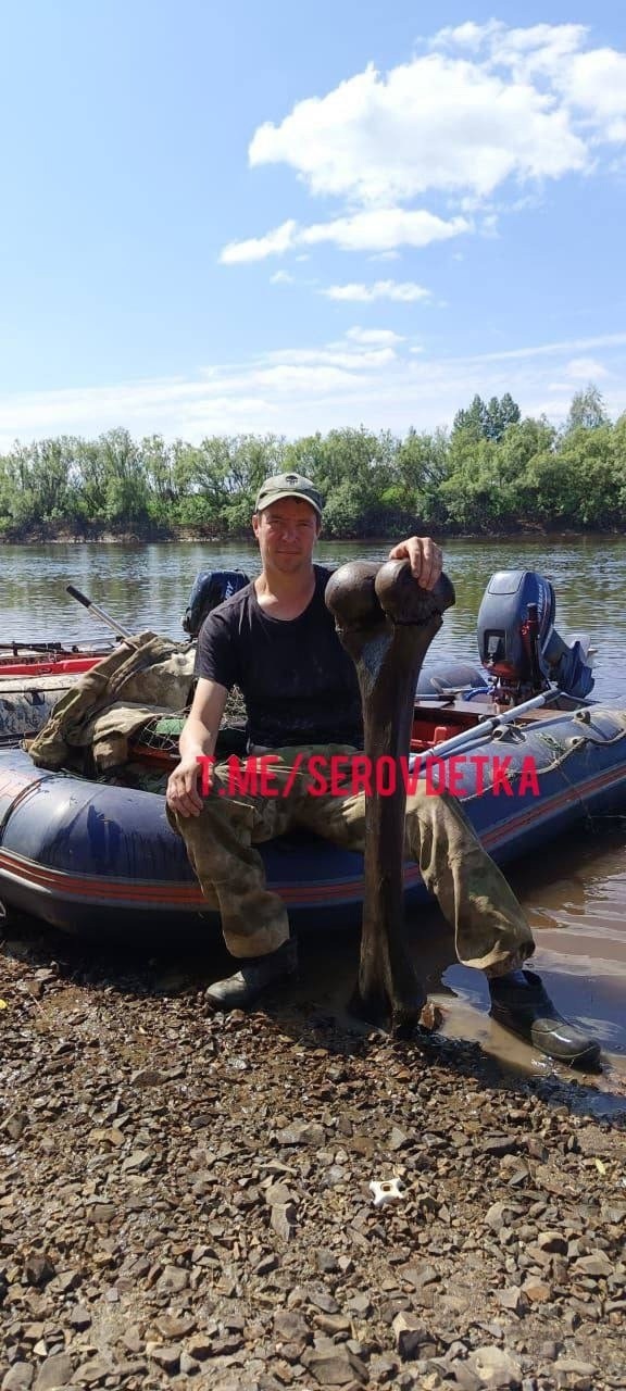 В Свердловской области рыбаки выудили кость и зуб мамо...
