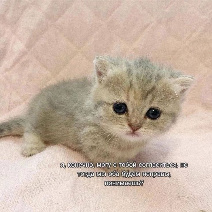 Утренняя подборочка