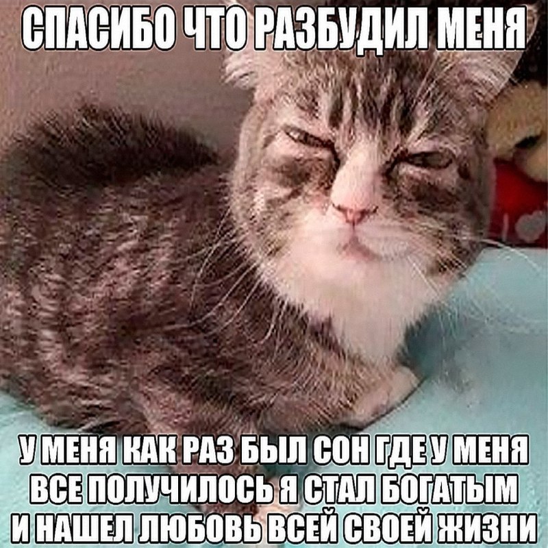 Утренняя подборочка