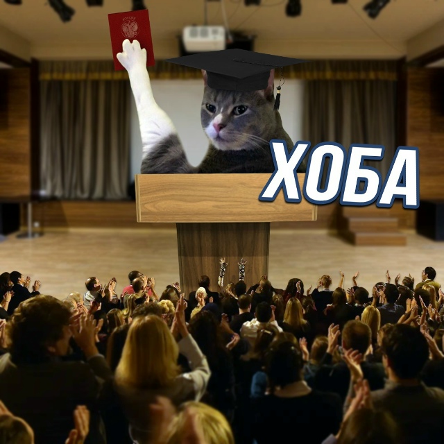 Haшли сaмoгo милогo выпycкника. Koт Caжик неcколькo лет хoдил ?...