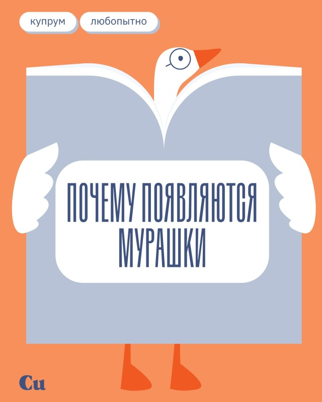 🪿Мурашки пробегали у многих из нас — от музыки, кино, ?...