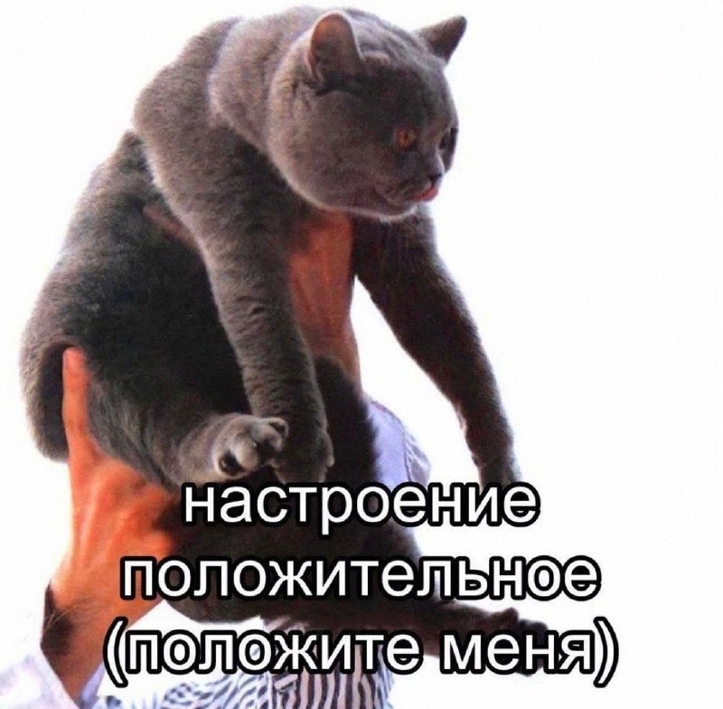 Утренняя подборочка
