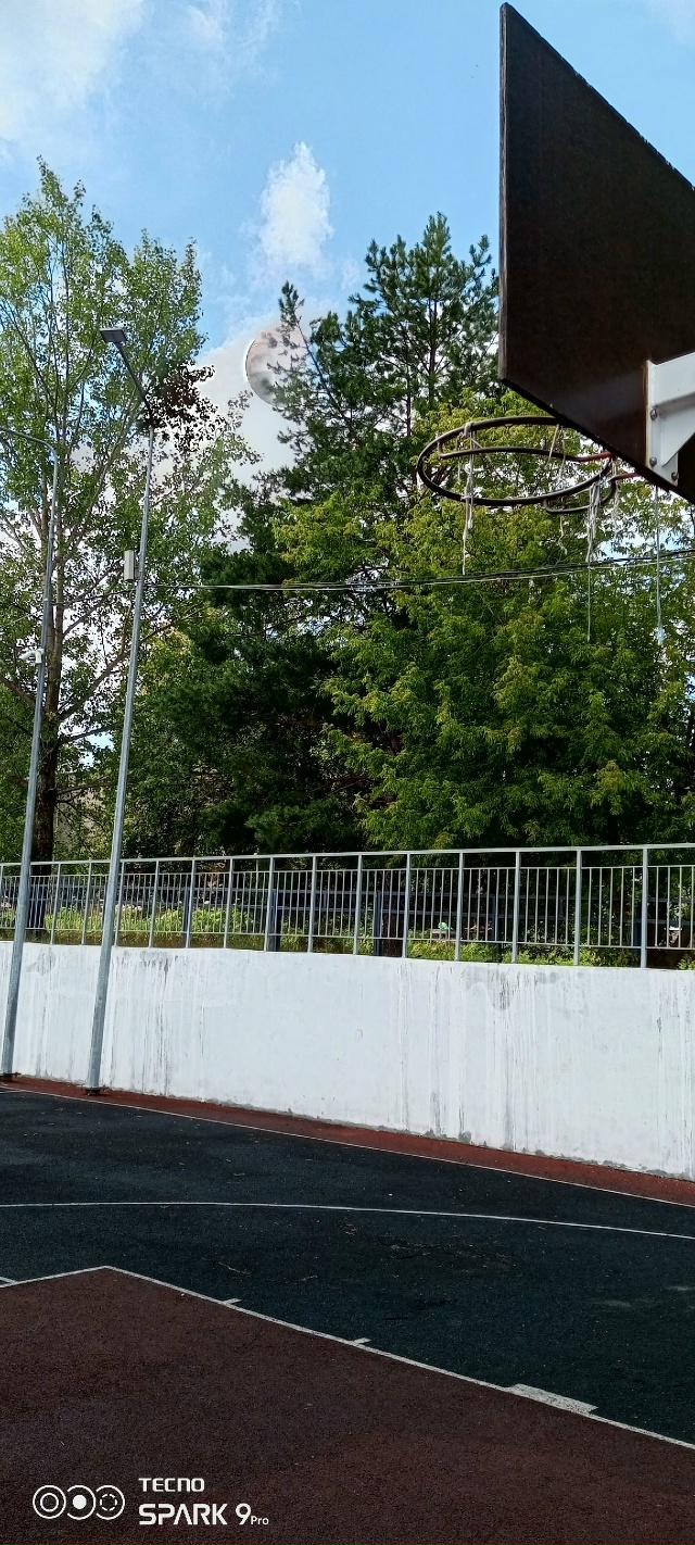 Ну, с Днём физкультурника!