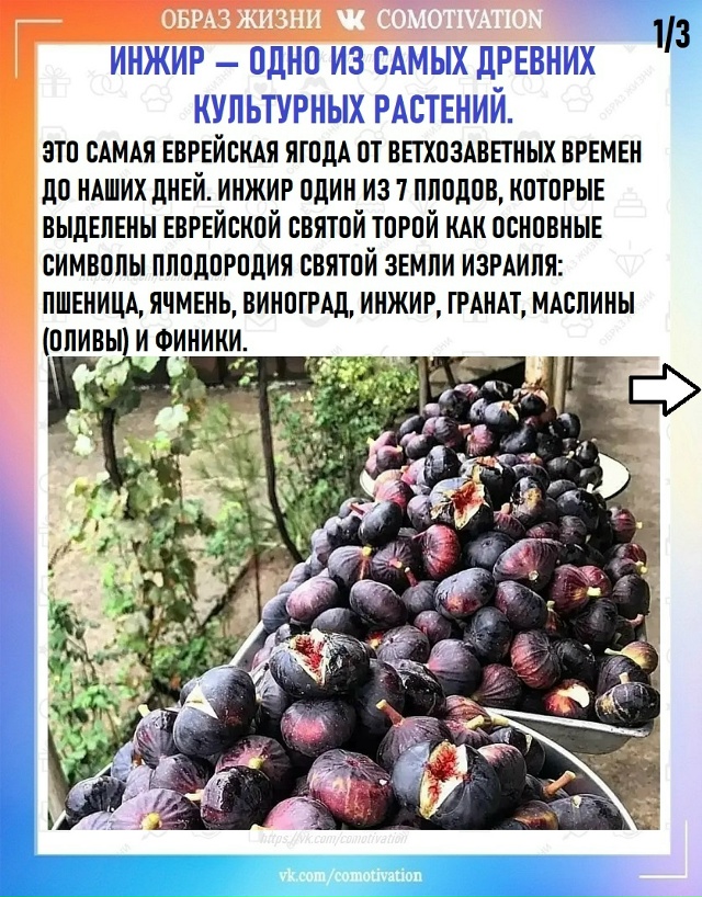 Любопытный факт
