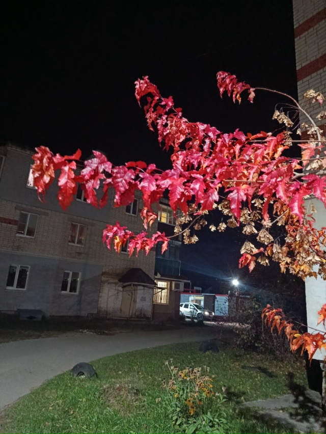 Осень в Чкаловске