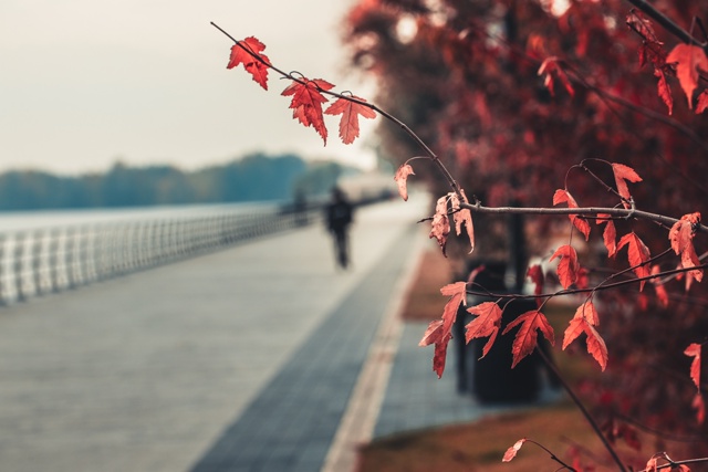 Осенний Воронеж прямо сейчас🍂🍁