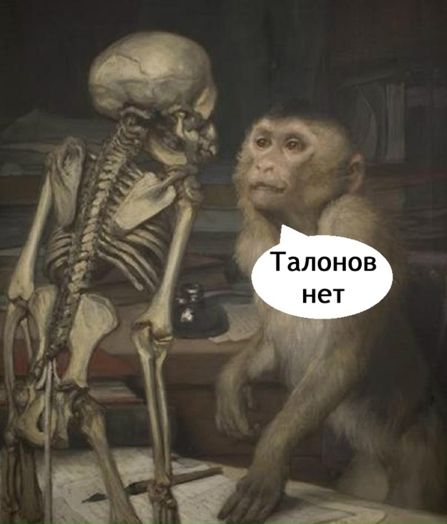 Что за жиза!