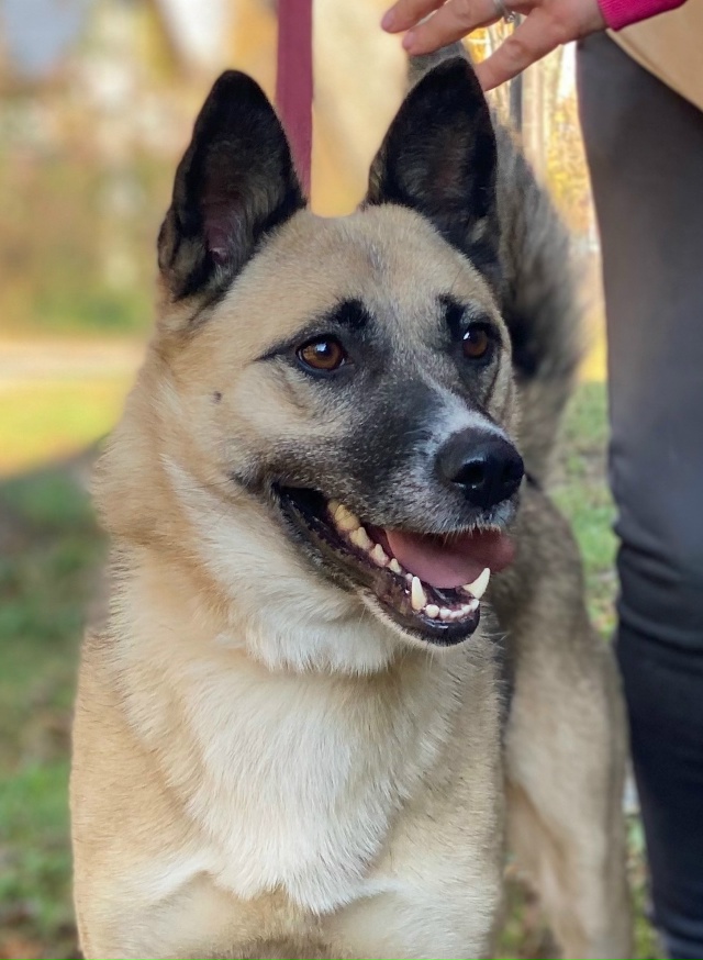 🆘 ПОМОГИТЕ АЙНЕ🙏❗
НЕБОЛЬШАЯ ЛАЕЧКА ПЛАЧЕТ ОТ ОДИНО?...