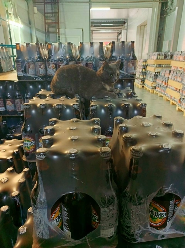 Работяги, приветствую! Я к вам с отличными новостями. П?...