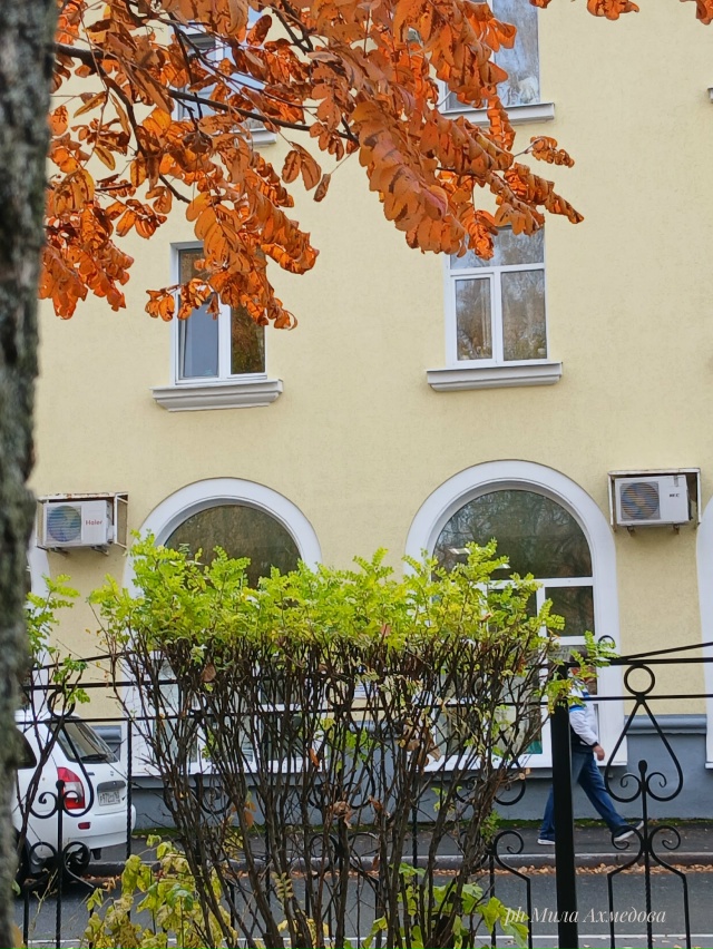 Сквер за Дворцом культуры ,, Жигулёвский,,