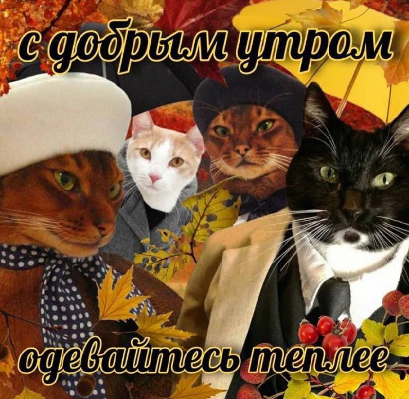 Утренняя подборочка