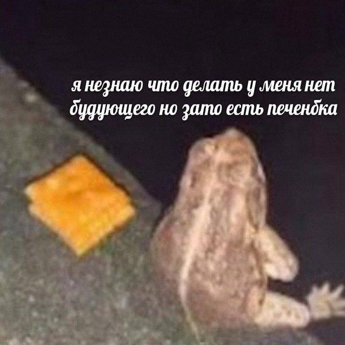 Утренняя подборочка