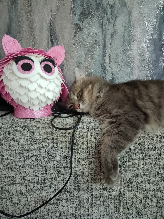😺 Всем привет! На связи Маркиз Алексеич... Желаю вам вс?...