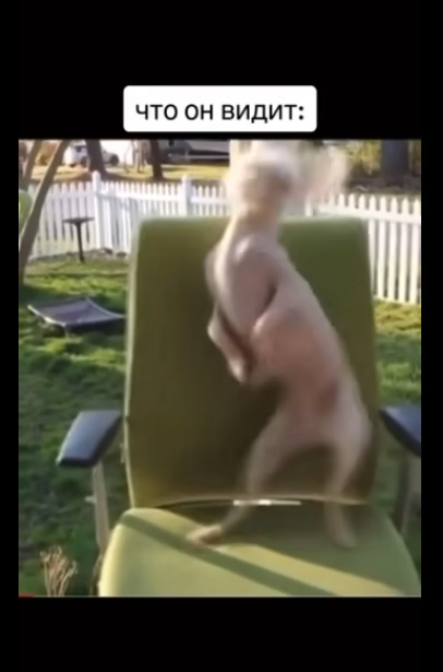 Когда решила станцевать для своего мужа. Что он видит в...