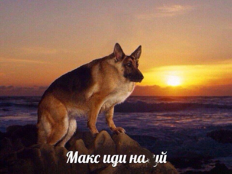 ⚡️Телеграм внезапно стал работать без обходных способов
Пока все на связи, примите моё сообщение: