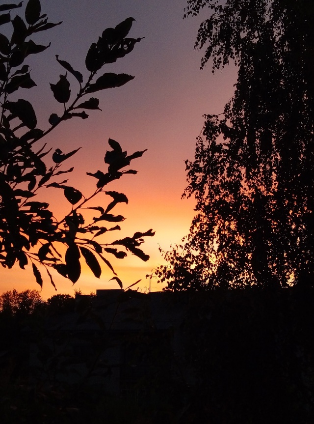 Яркие краски заката ❤
Вельский район
#Я_тебя_видел@podslu...