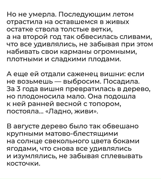 У каждого свой жизненный путь