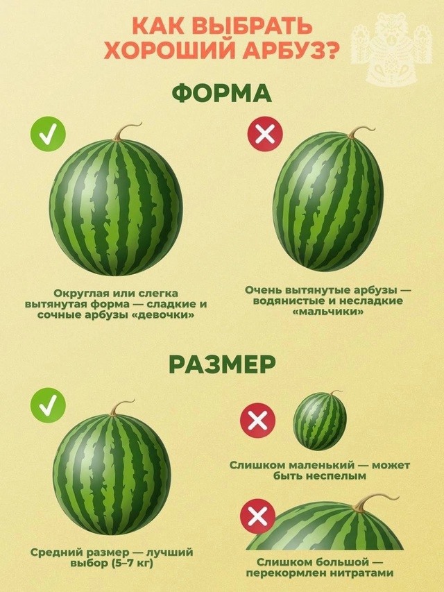 🍉 Официально начался сезон арбузов