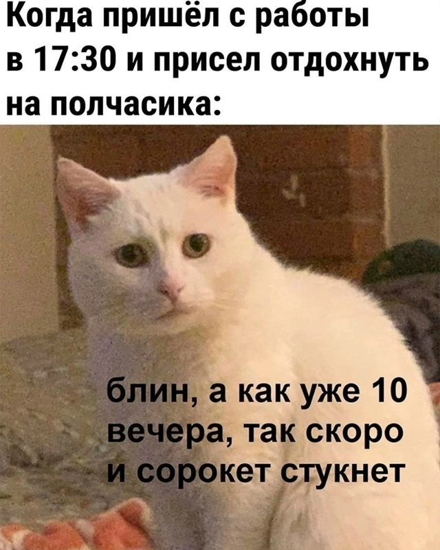Каждый вечер после работы