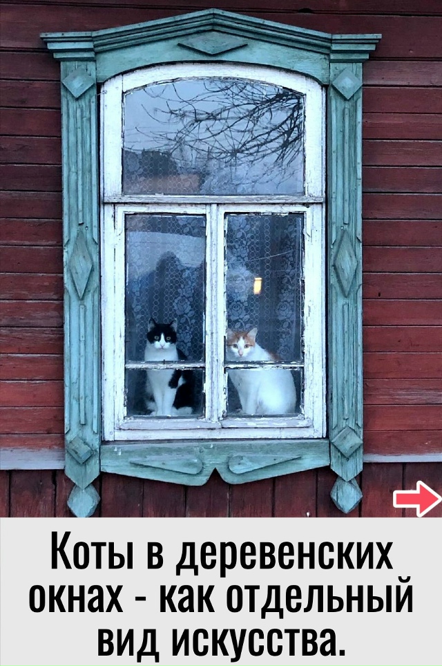 Какие же они все красивые…
Рекомендации на день 👉 max.r...