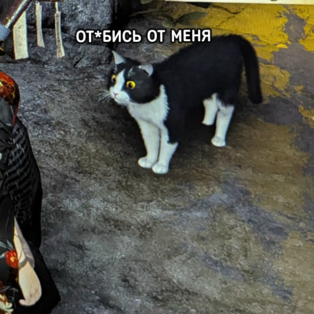 Котики в Where Winds Meet ведут себя максимально реалистично
...