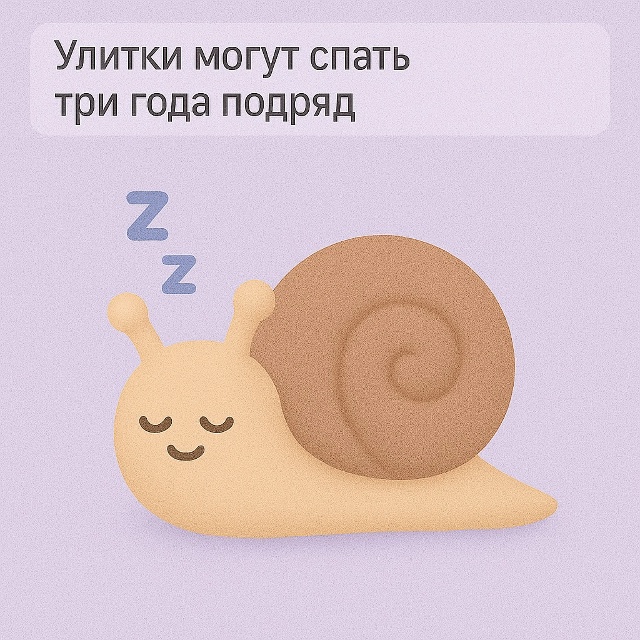🐌 Сон длиной в годы
Улитки способны спать до трёх лет ...
