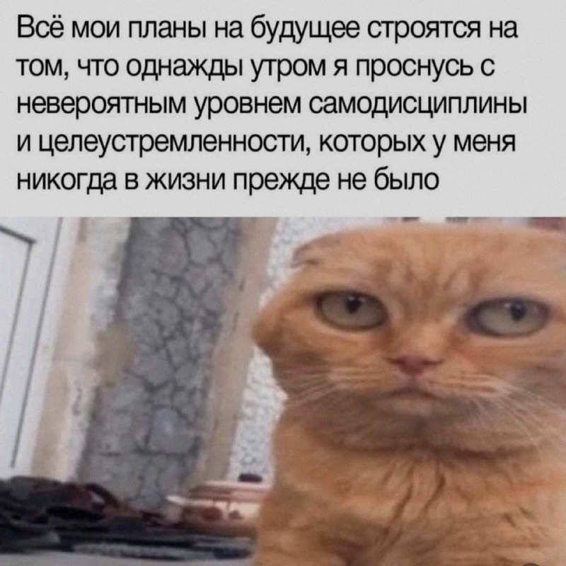 Ночная подборочка
Спать, режим