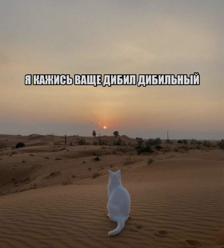 Ночная подборочка
Спать, режим