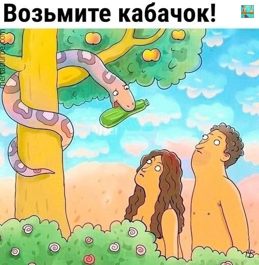 И вот пришел август сезон кабачков
