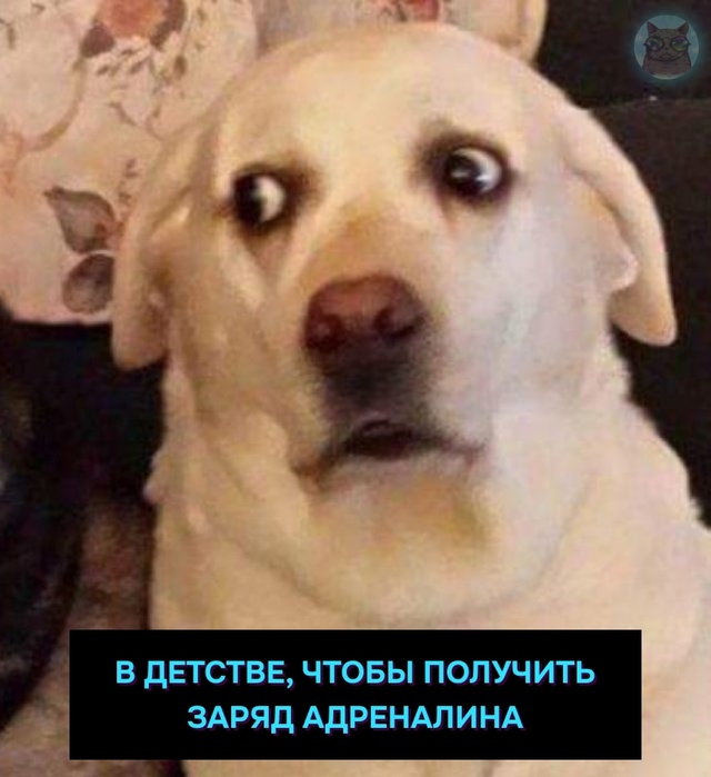Когда тебе немного за 30 лет