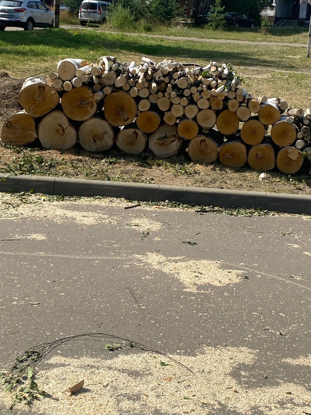 После уборки коммунальной службы остались дрова, я мог...