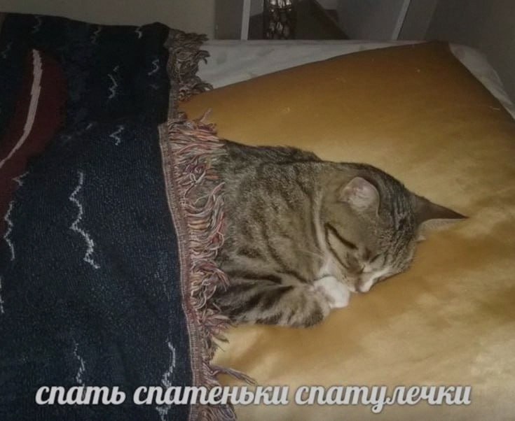 Ночная подборочка
Выходные, не спим