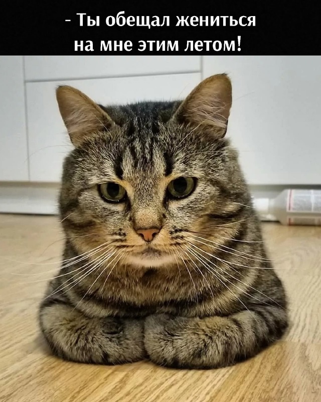 =»»