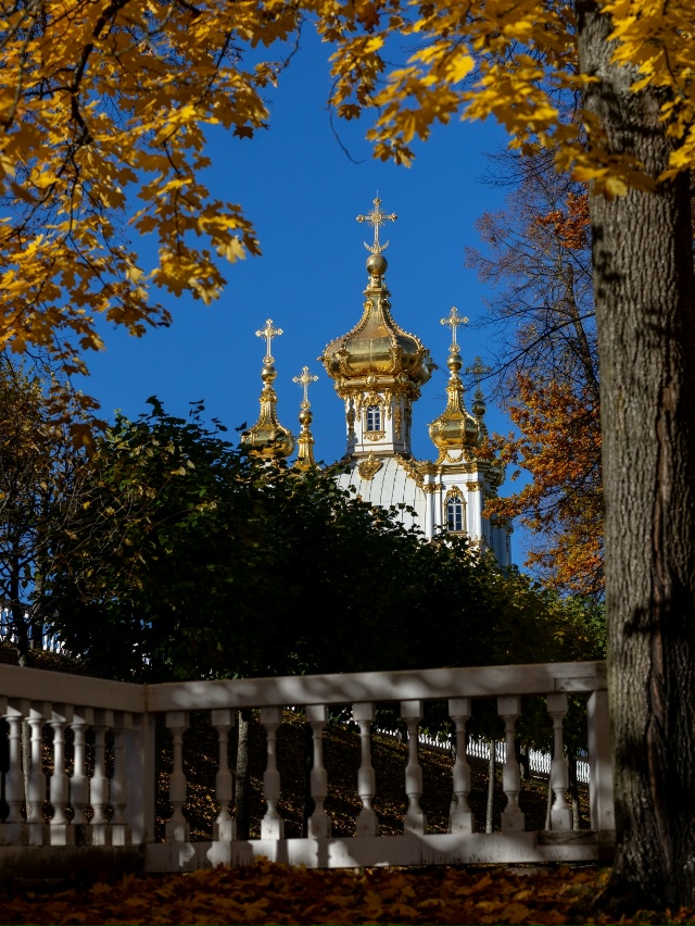 Хорошего дня!
#фото