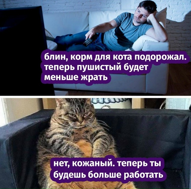 ‼️ Пушистые в шоке. Корма для животных выросли за год ?...