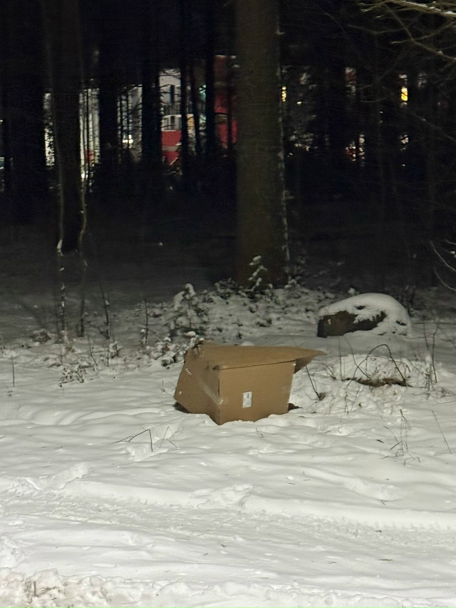 На Механизаторов у «Стройграда» лежит странная коробк...