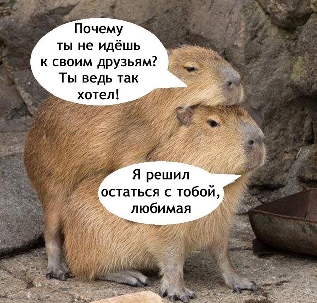 Сам решуууу😅