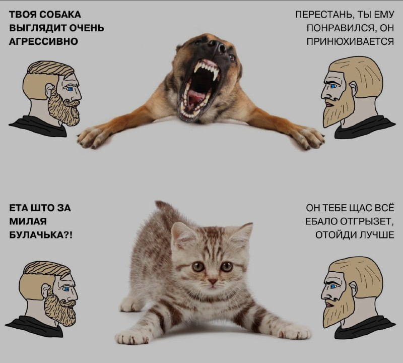 Ночная подборочка
Спать, режим