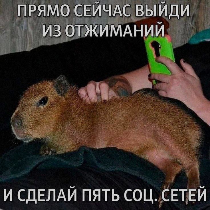 Ночная подборочка
Спать, режим