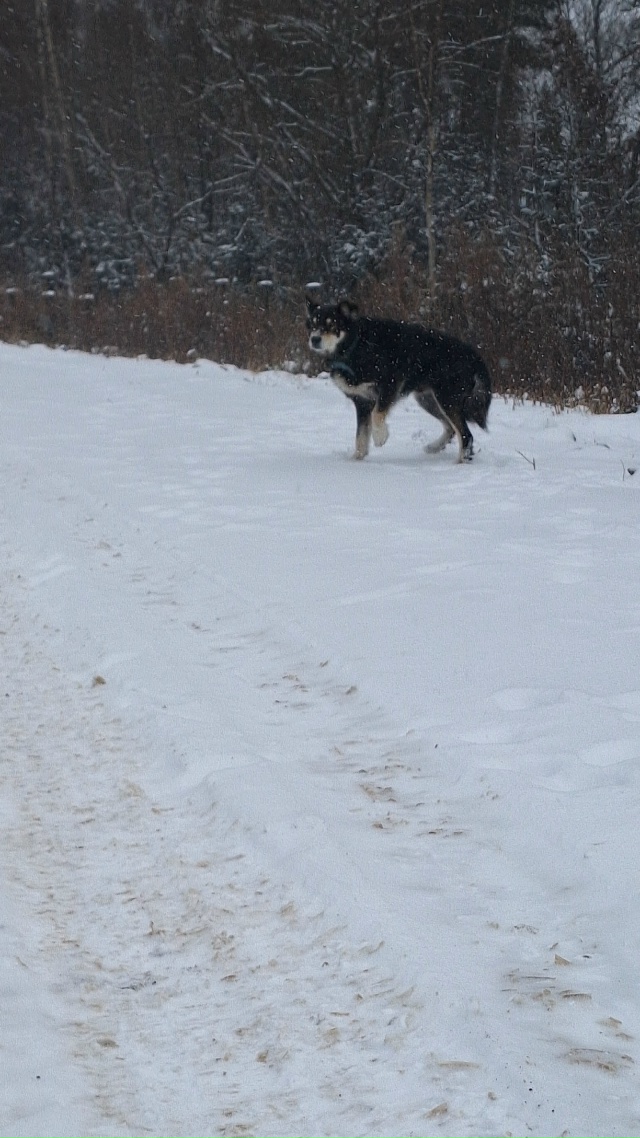 На днях ехали с семьёй в г.Красноярск . Как всегда остан...