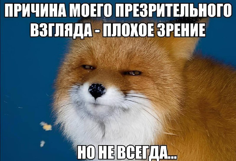 👓 Запретить названия салонов оптики «Слепая курица», «Лупоглазик», «Слепень» и «Жабкины глазки» треб