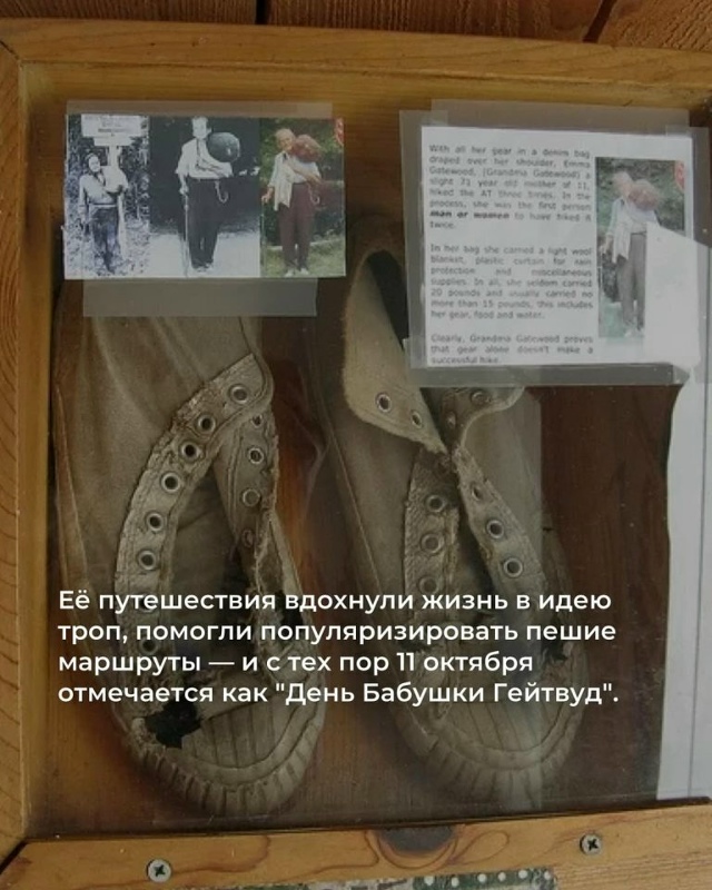 Прогулка длиной в 3500 километров: как 67-летняя Эмма Гейт...