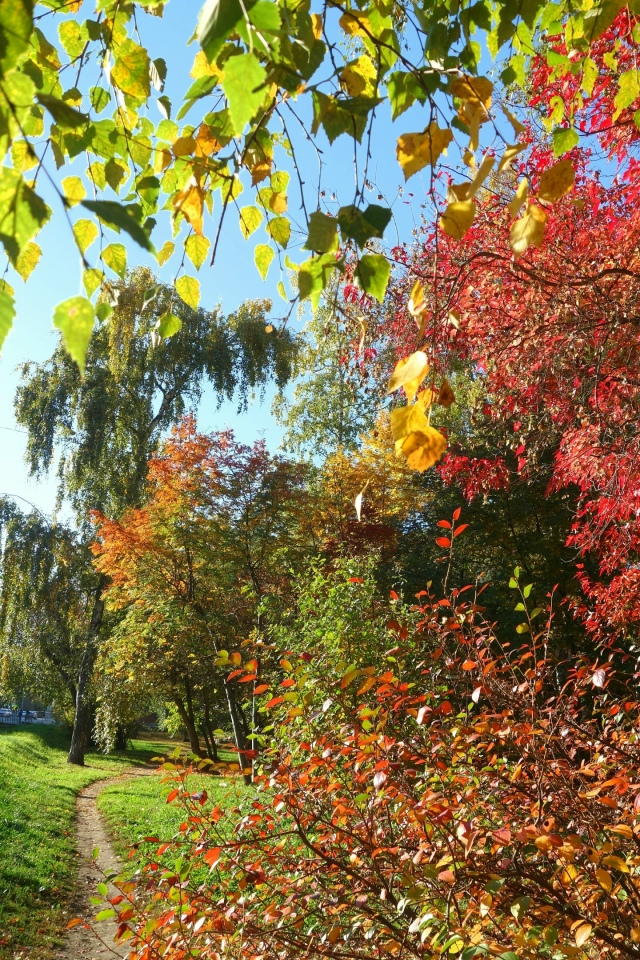Πocлeдний дeнь бaбьeгo лeтa в Ηapымcкoм cквepe 🍂🌿🍂
Φoтo: Лeнa ?...