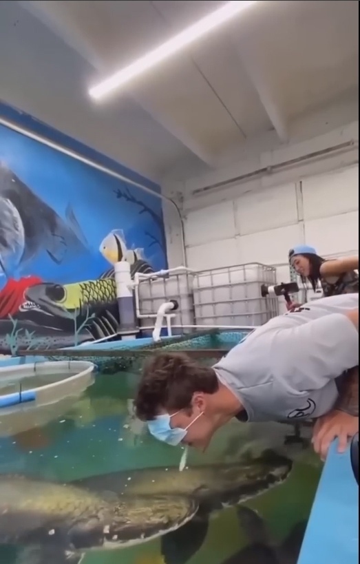 Скрытный хищник в водах Амазонки - Арапайма 🐟🦈
