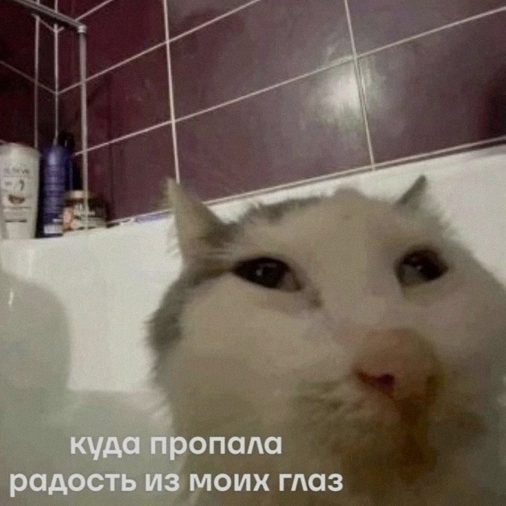 Ночная подборочка
Спать, режим