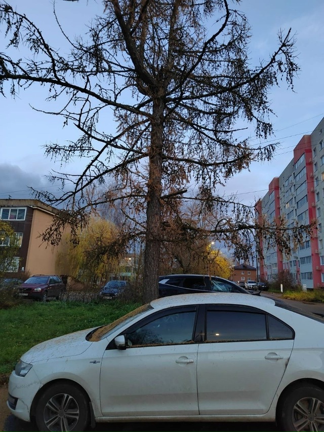 Добрый вечер уважаемая администрация.
Помогите нашему...