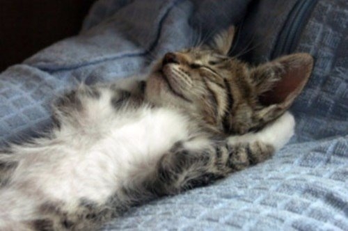 Доброе утречко)