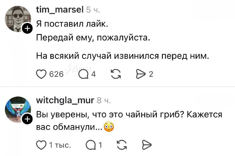 «Я такую хуйню по РЕН-ТВ видела — она деревню сожрала»: чел вырастил у себя дома Ктулховуху.
Парень