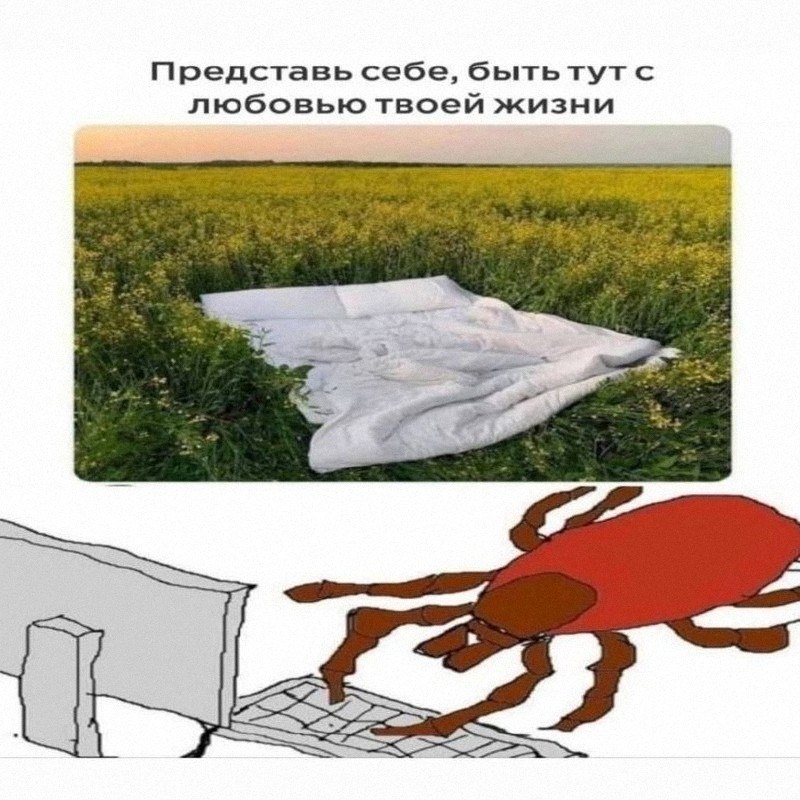 Утренняя подборочка